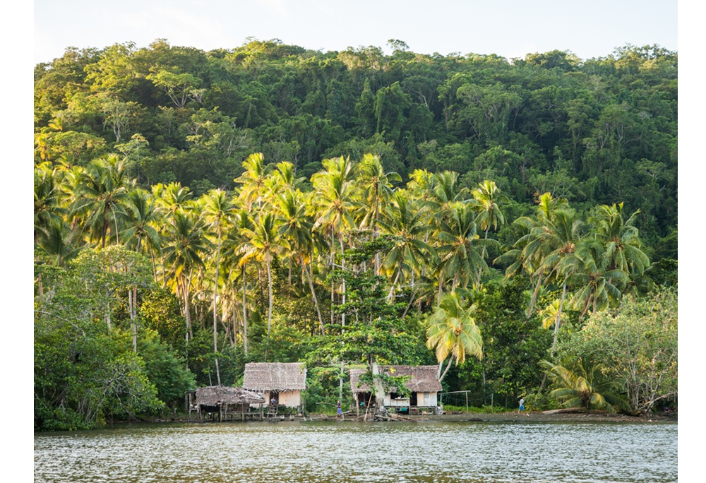 Cool Earth Papa New Guinea_CAS 2