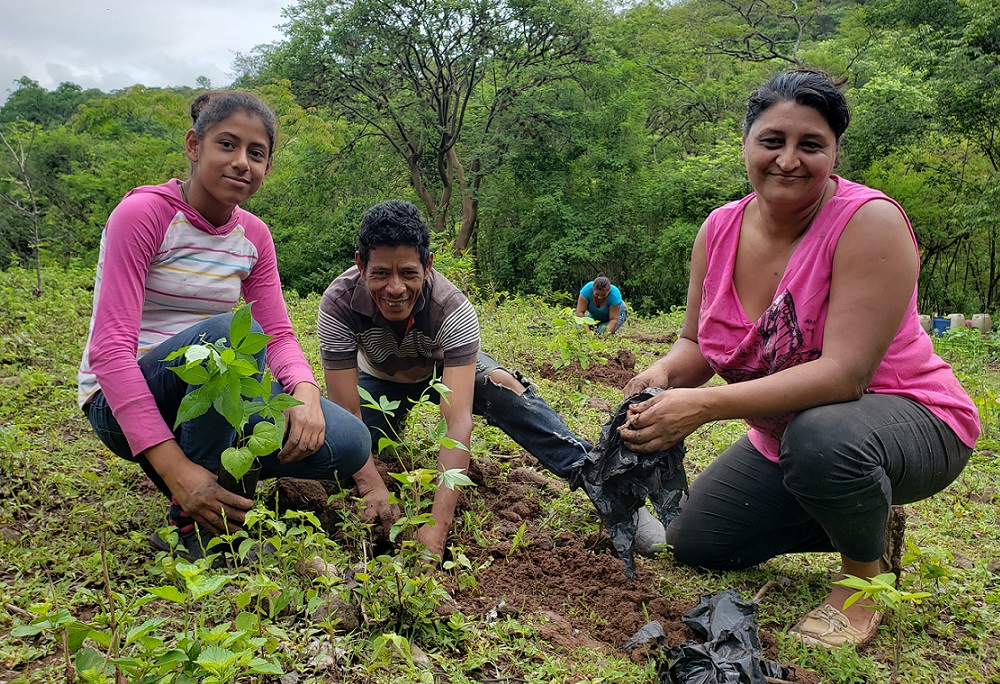 small scale farming family planting trees