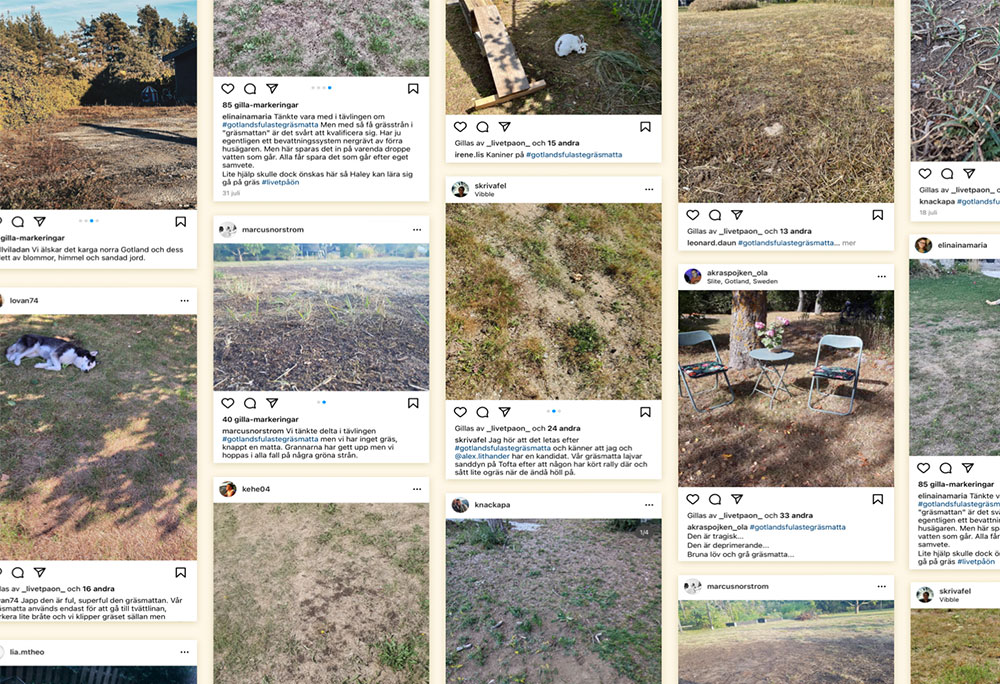 gotlands-ugliest-lawn-instagram