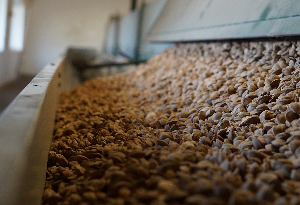 KernTec kernels