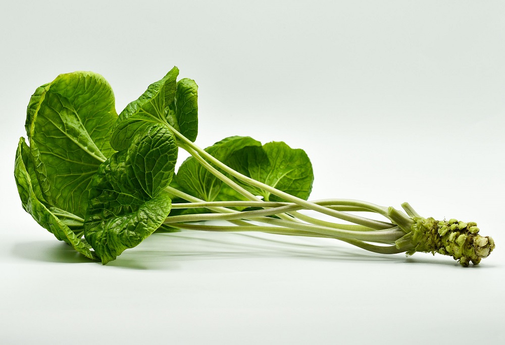 Wasabi leaves