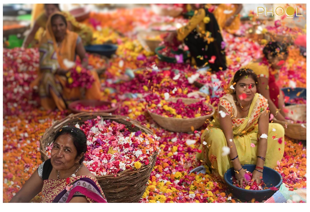 PHOOL_CAS 4